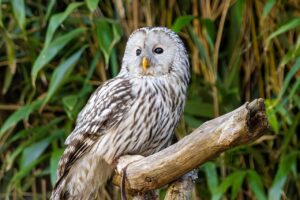 好きな人を忘れたい時に試すべき方法は？