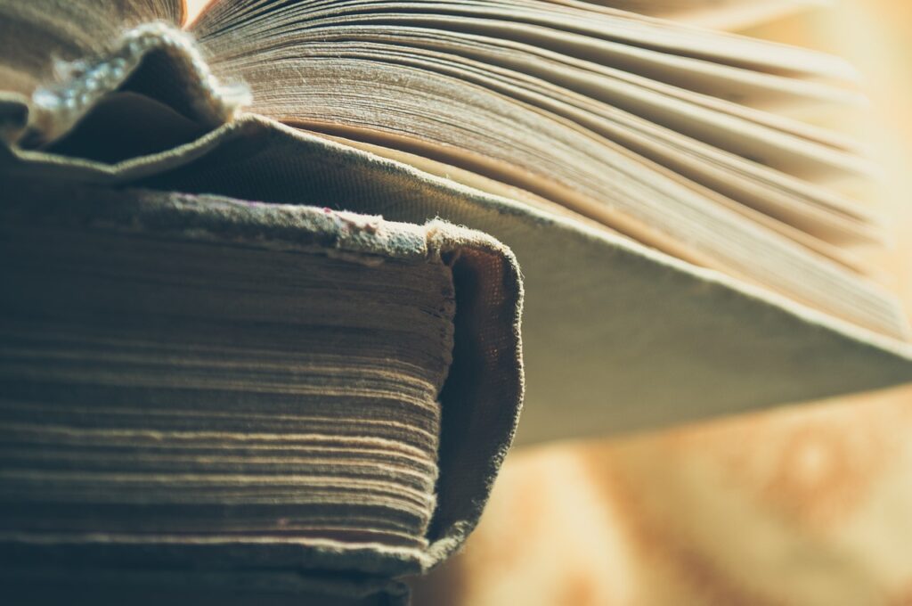 恋愛に関する本で女性におすすめの作品は？