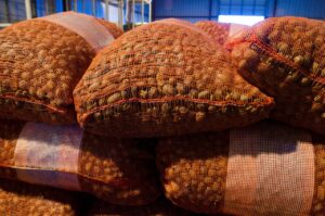 忙しくて彼氏ができない仕事を持つあなたへのアドバイスは？