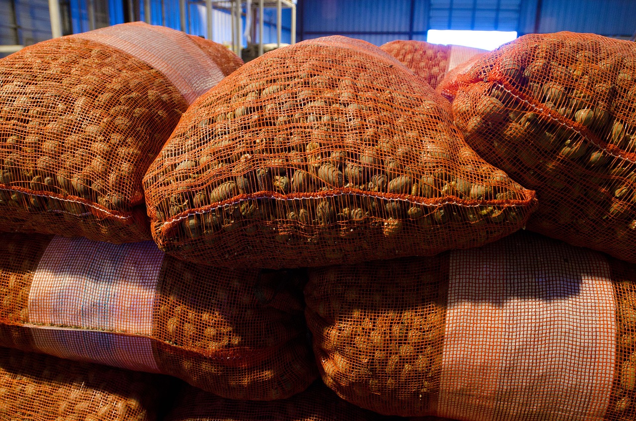 忙しくて彼氏ができない仕事を持つあなたへのアドバイスは？